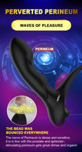 Load image into Gallery viewer, New Raptor Male Massager, Anal Plug Massage Stick, Vibrator, Adult Sex Toy